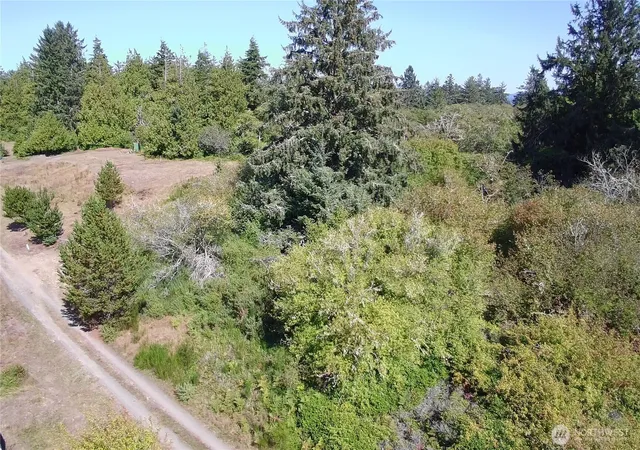 Photo 2 of Land for sale at 0 Oysterville Rd, Oysterville, WA 98641 | MLS# NWM2584202 | Listing updated on 2026-09-17