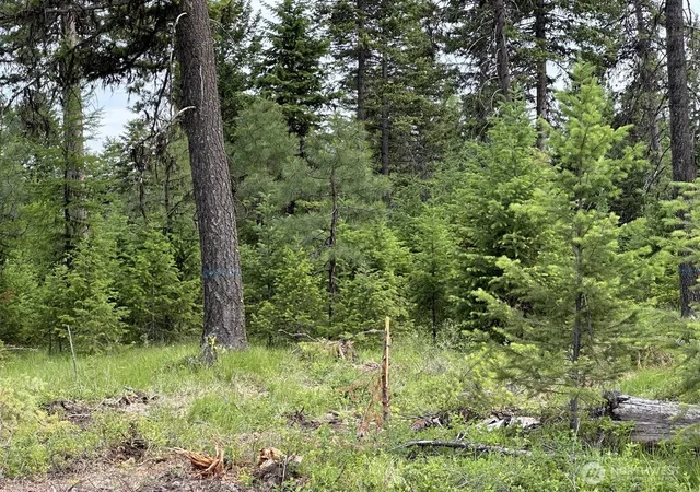 Photo 1 of Land for sale at 3600 Sheridan Rd #B, Republic, WA 99166 | MLS# NWM2584235 | Listing updated on 2026-09-23