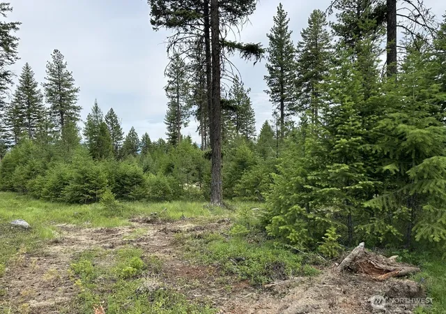 Photo 2 of Land for sale at 3600 Sheridan Rd #B, Republic, WA 99166 | MLS# NWM2584235 | Listing updated on 2026-09-23