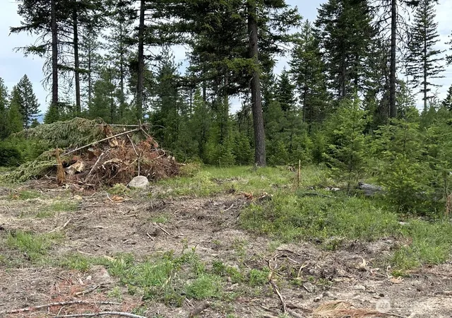 Photo 3 of Land for sale at 3600 Sheridan Rd #B, Republic, WA 99166 | MLS# NWM2584235 | Listing updated on 2026-09-23