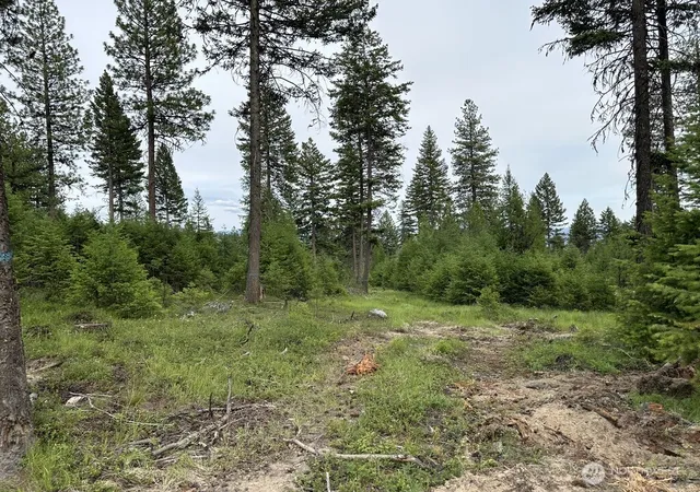 Photo 4 of Land for sale at 3600 Sheridan Rd #B, Republic, WA 99166 | MLS# NWM2584235 | Listing updated on 2026-09-23