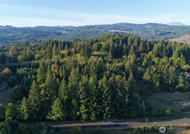 Photo 1 of Sale Pending at 0 399th Street, Amboy, WA 98601 | MLS# NWM2584326 | Listing updated on 2026-09-21