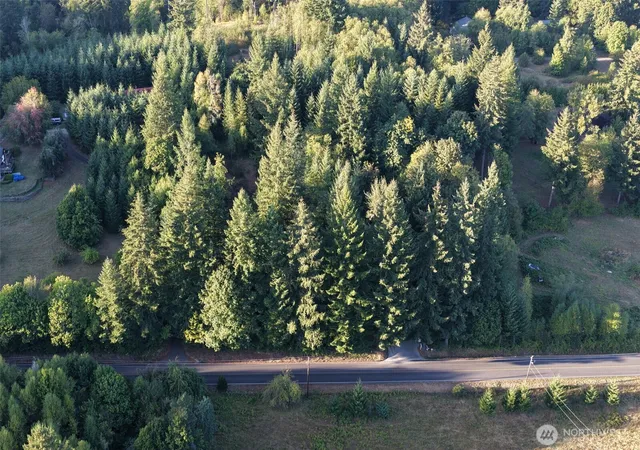 Photo 3 of Sale Pending at 0 399th Street, Amboy, WA 98601 | MLS# NWM2584326 | Listing updated on 2026-09-21