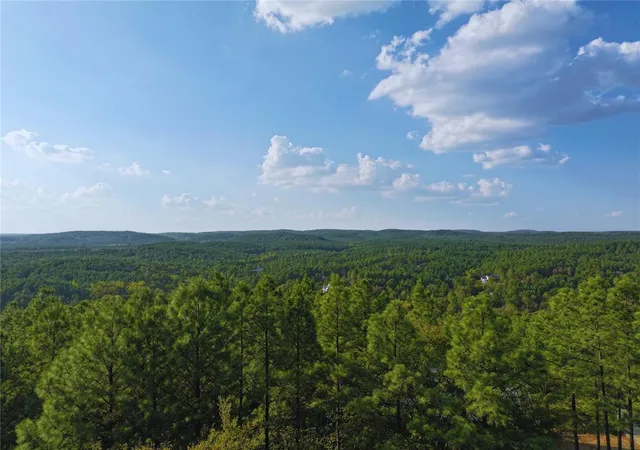 Photo 2 of Land for sale at 489 Timber Crk Trl, Broken Bow, OK 74728 | MLS# 1249132 | Listing updated on 2026-09-16