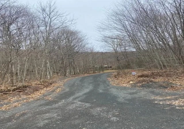 Photo 1 of Land for sale at 219 Bailey Rd, Jewett, NY 12444 | MLS# H6244115 | Listing updated on 2026-09-16