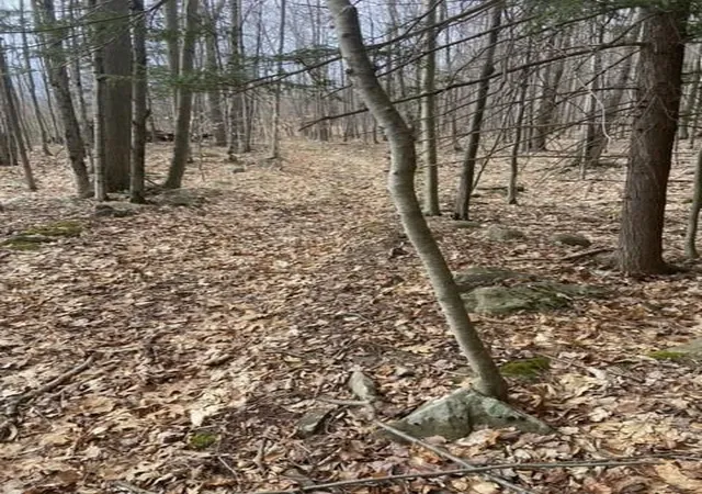 Photo 3 of Land for sale at 219 Bailey Rd, Jewett, NY 12444 | MLS# H6244115 | Listing updated on 2026-09-16