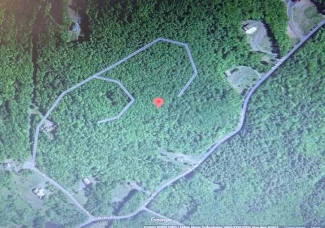 Photo 4 of Land for sale at 219 Bailey Rd, Jewett, NY 12444 | MLS# H6244115 | Listing updated on 2026-09-16