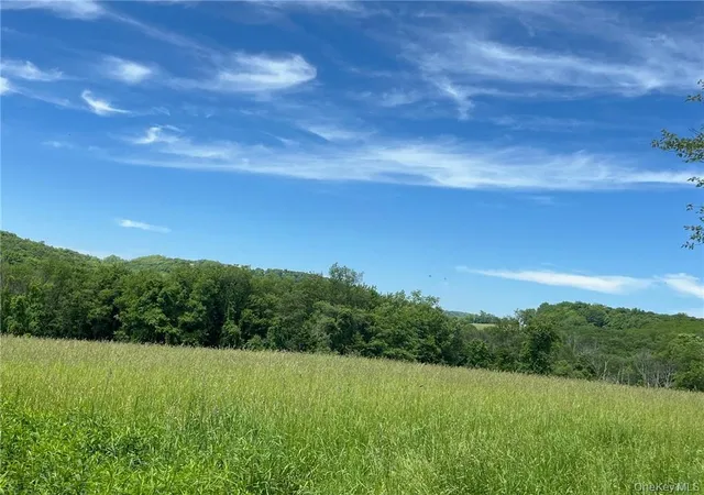 Photo 1 of Sale Pending at Perrys Corners Rd, Amenia, NY 12501 | MLS# M419993 | Listing updated on 2026-09-18