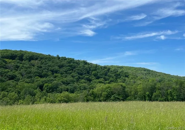 Photo 4 of Sale Pending at Perrys Corners Rd, Amenia, NY 12501 | MLS# M419993 | Listing updated on 2026-09-18