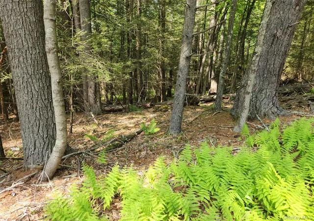 Photo 1 of Land for sale at Highland Lake, Eldred, NY 12732 | MLS# 868497 | Listing updated on 2026-09-18