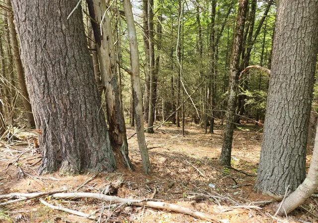 Photo 2 of Land for sale at Highland Lake, Eldred, NY 12732 | MLS# 868497 | Listing updated on 2026-09-18