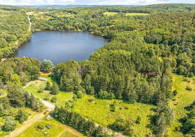Photo 3 of Sale Pending at 0 Masonville Pond Cummings Rd, Sidney Center, NY | MLS# 907919 | Listing updated on 2026-09-18