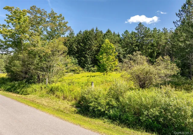 Photo 3 of Sale Pending at 0 Masonville Pond Cummings Rd, Sidney Center, NY | MLS# 907919 | Listing updated on 2026-09-18