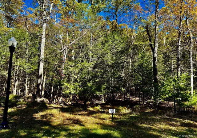 Photo 2 of Land for sale at 78 Falling Waters Dr, Palenville, NY 12463 | MLS# 925998 | Listing updated on 2026-09-24