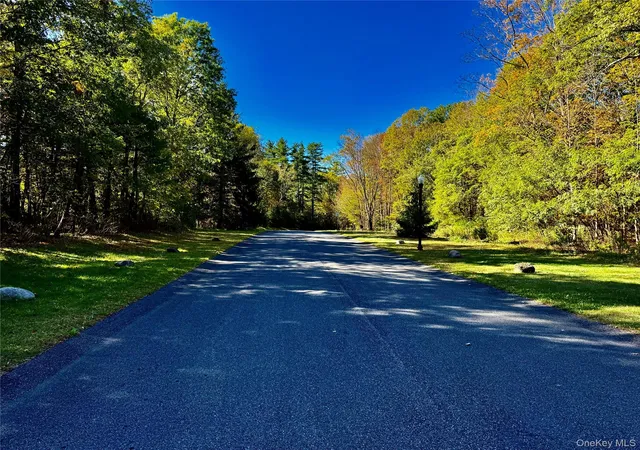 Photo 3 of Land for sale at 78 Falling Waters Dr, Palenville, NY 12463 | MLS# 925998 | Listing updated on 2026-09-24