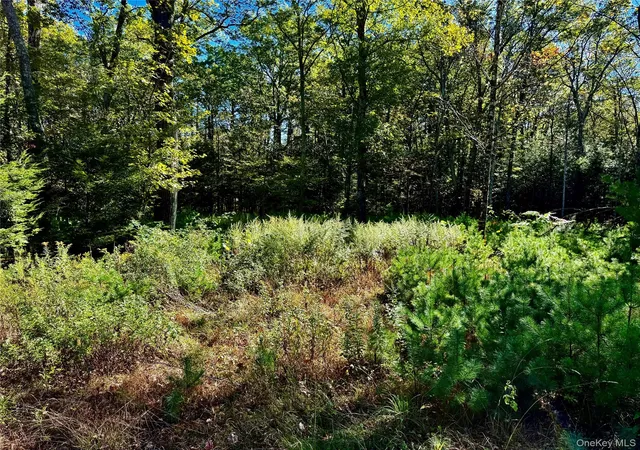 Photo 3 of Land for sale at 86 Falling Waters Dr, Palenville, NY 12463 | MLS# 926122 | Listing updated on 2026-09-18