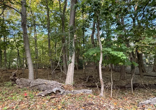 Photo 3 of Sale Pending at Thompson St/e Broadway, Port Jefferson, NY 11777 | MLS# 927124 | Listing updated on 2026-09-18
