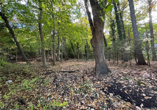 Photo 4 of Sale Pending at Thompson St/E Broadway, Port Jefferson, NY 11777 | MLS# 927124 | Listing updated on 2026-09-18