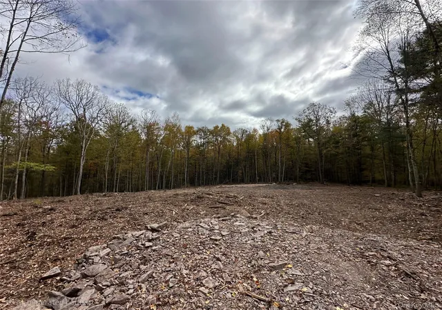 Photo 3 of Land for sale at Lot 16 Foster (south) Trl, Tusten, NY 12764 | MLS# 943675 | Listing updated on 2026-09-18
