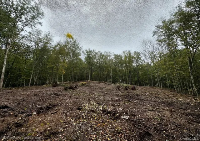 Photo 4 of Land for sale at Lot 16 Foster (south) Trl, Tusten, NY 12764 | MLS# 943675 | Listing updated on 2026-09-18