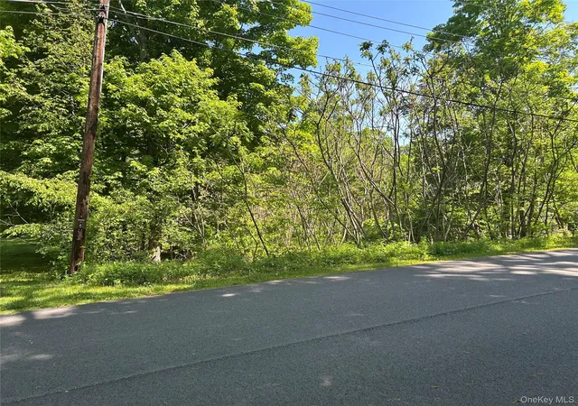 Photo 3 of Land for sale at 20 Hickory Ln, Beekman, NY 12564 | MLS# 952786 | Listing updated on 2026-09-18