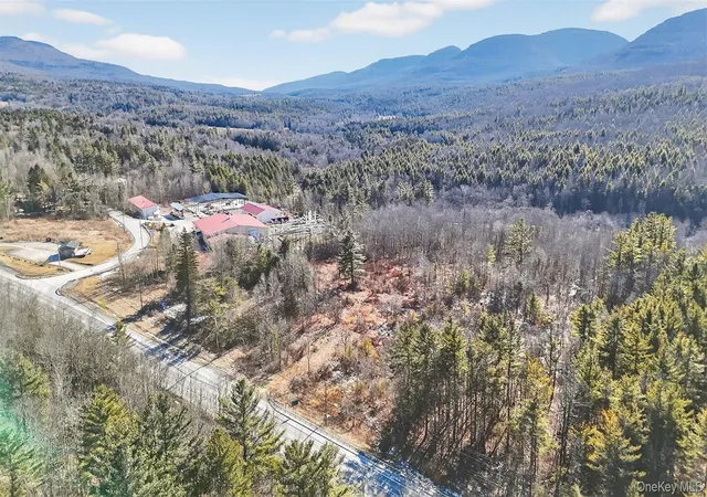 Photo 3 of Sale Pending at 6769 Rt 23a, Tannersville, NY 12485 | MLS# 955106 | Listing updated on 2026-10-07