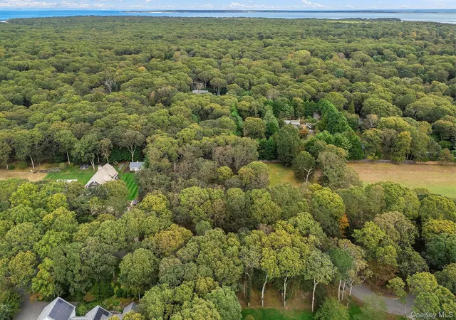 Photo 3 of Land for sale at 43 Briarcroft Dr, East Hampton, NY 11937 | MLS# 958578 | Listing updated on 2026-09-18