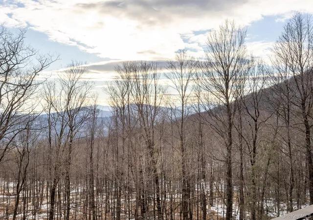Photo 3 of Single family home for sale at 306 Meads Mountain Rd, Woodstock, NY 12498 | MLS# 963379 | Listing updated on 2026-09-16