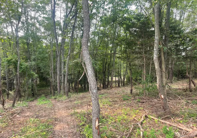 Photo 3 of Land for sale at Bells Pond Rd, Livingston, NY 12541 | MLS# 964507 | Listing updated on 2026-09-18