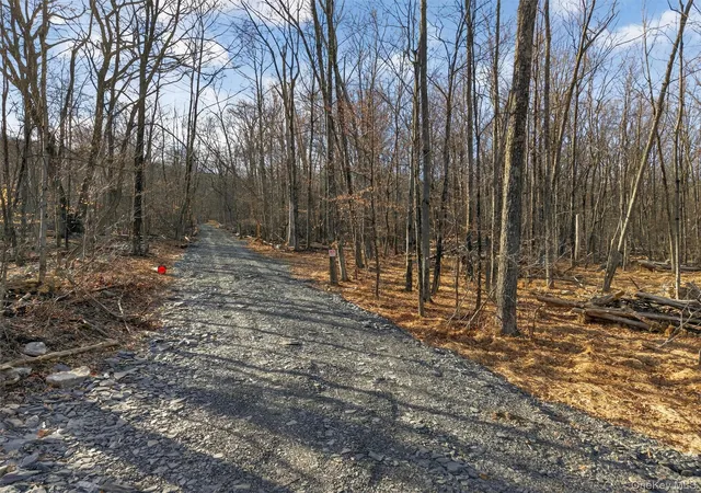 Photo 3 of Land for sale at Lenni Lenape Ave, Wurtsboro, NY 12790 | MLS# 972900 | Listing updated on 2026-09-18