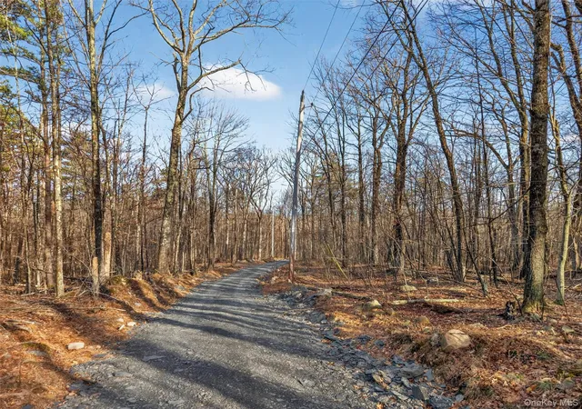 Photo 4 of Land for sale at Lenni Lenape Ave, Wurtsboro, NY 12790 | MLS# 972900 | Listing updated on 2026-09-18