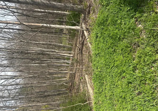 Photo 3 of Land for sale at Noxon Rd, La Grange, NY 12540 | MLS# 984594 | Listing updated on 2026-09-25