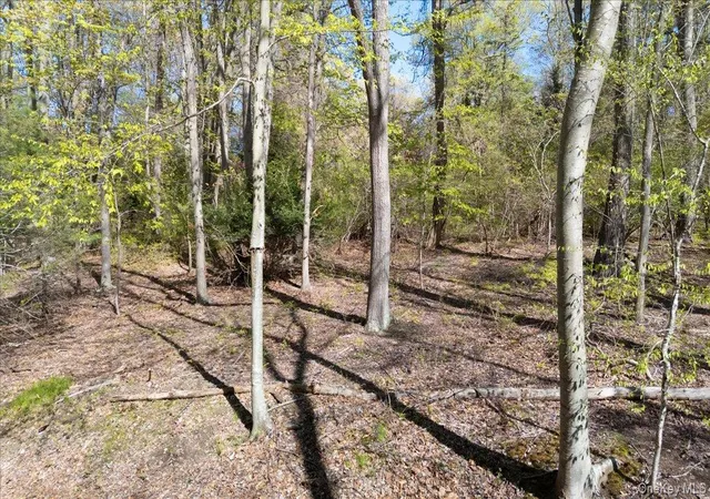 Photo 4 of Land for sale at 7 Spring Hl, Saint James, NY 11780 | MLS# 990204 | Listing updated on 2026-09-18
