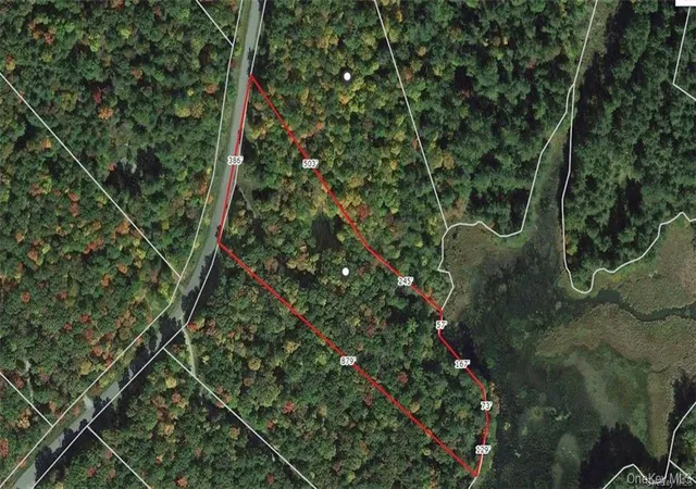 Photo 3 of Land for sale at Lot 92 Mathias Weiden Dr, Narrowsburg, NY 12764 | MLS# 000047 | Listing updated on 2026-09-18