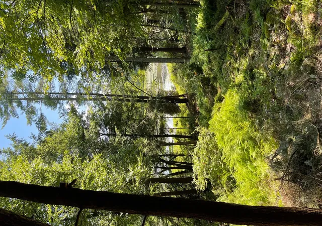Photo 4 of Land for sale at Lot 92 Mathias Weiden Dr, Narrowsburg, NY 12764 | MLS# 000047 | Listing updated on 2026-09-18