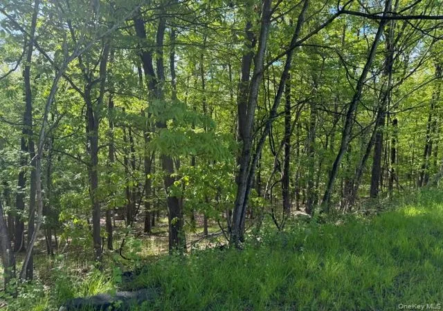 Photo 3 of Land for sale at 27 Council Crst Rd, Sloatsburg, NY 10974 | MLS# 1000792 | Listing updated on 2026-09-18