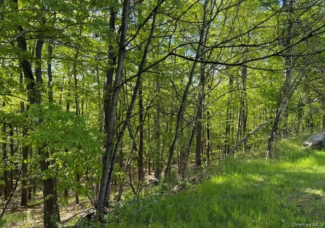 Photo 4 of Land for sale at 27 Council Crst Rd, Sloatsburg, NY 10974 | MLS# 1000792 | Listing updated on 2026-09-18