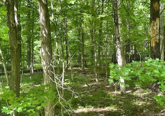 Photo 1 of Sale Pending at Joel M Austin Rd N, Cairo, NY 12413 | MLS# 1005978 | Listing updated on 2026-09-18