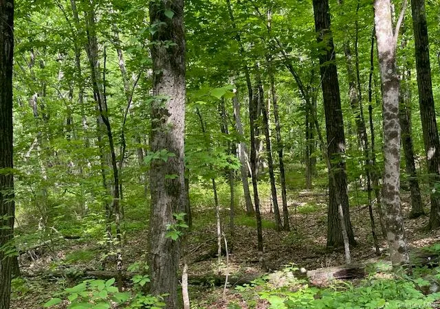 Photo 3 of Sale Pending at Joel M Austin Rd N, Cairo, NY 12413 | MLS# 1005978 | Listing updated on 2026-09-18