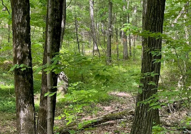 Photo 4 of Sale Pending at Joel M Austin Rd N, Cairo, NY 12413 | MLS# 1005978 | Listing updated on 2026-09-18
