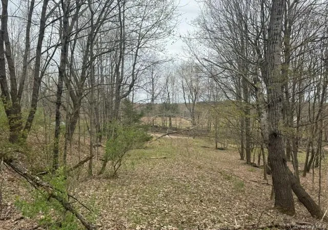 Photo 3 of Sale Pending at Lot 4 Shaver Hl Rd, Deposit, NY 13754 | MLS# 1009477 | Listing updated on 2026-09-18