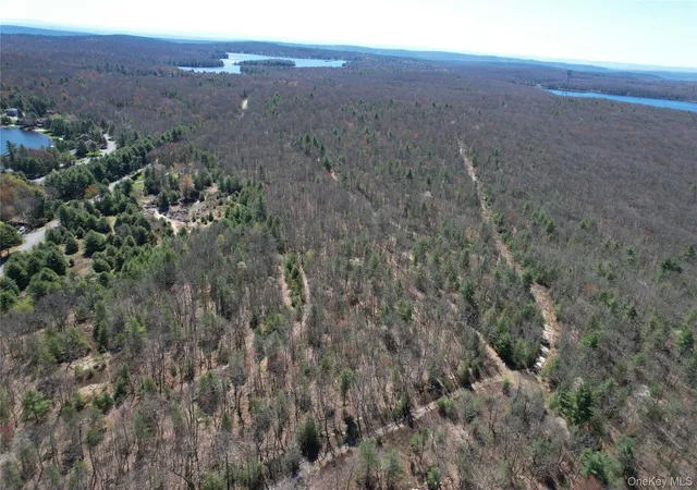 Photo 3 of Land for sale at Old Sackett Rd, Rock Hill, NY 12775 | MLS# 1009507 | Listing updated on 2026-09-17