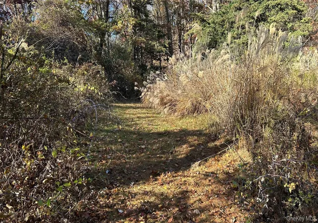 Photo 2 of Land for sale at 66 Ryan Rd, Pine Plains, NY 12567 | MLS# 1010757 | Listing updated on 2026-09-18