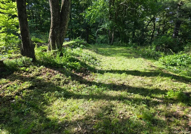 Photo 3 of Land for sale at 66 Ryan Rd, Pine Plains, NY 12567 | MLS# 1010757 | Listing updated on 2026-09-18