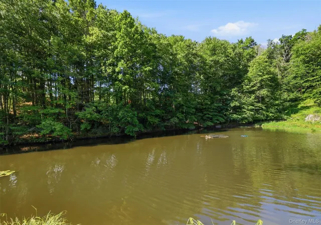 Photo 3 of Single family home for sale at 16 Buena Vista Point, Glen Spey, NY 12737 | MLS# 1020749 | Listing updated on 2026-10-20