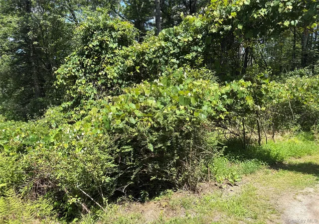 Photo 2 of Land for sale at Belair Rd, Glen Spey, NY 12737 | MLS# 1021309 | Listing updated on 2026-09-30