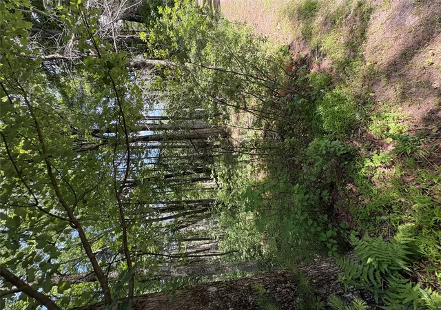 Photo 4 of Land for sale at Belair Rd, Glen Spey, NY 12737 | MLS# 1021309 | Listing updated on 2026-09-30