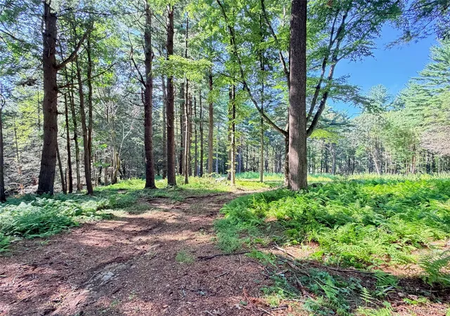 Photo 3 of Land for sale at 340 Haines Rd, Bedford, NY 10507 | MLS# 1025747 | Listing updated on 2026-09-18