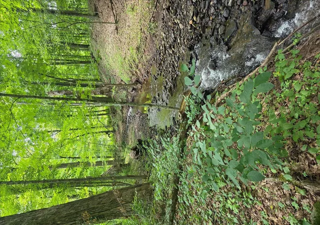Photo 2 of Single family home for sale at 208 R Mclaren Rd Ext, Cairo, NY 12482 | MLS# 1031526 | Listing updated on 2026-09-28