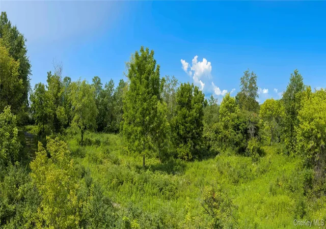 Photo 1 of Land for sale at (lot 1) 111 S St, Lloyd, NY 12528 | MLS# 1034353 | Listing updated on 2026-09-18